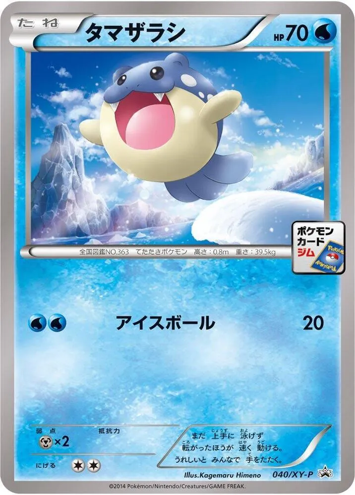 Front of Spheal 40, XY-Pプロモーションカード Japanese