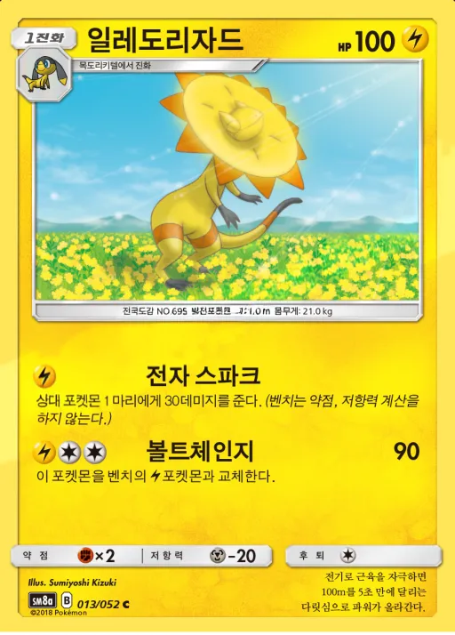 다크오더 韓国語版 일레도리자드 13 カード表面