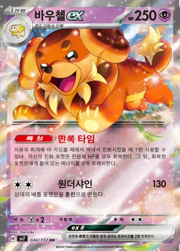 바우첼 ex 46 ₩500