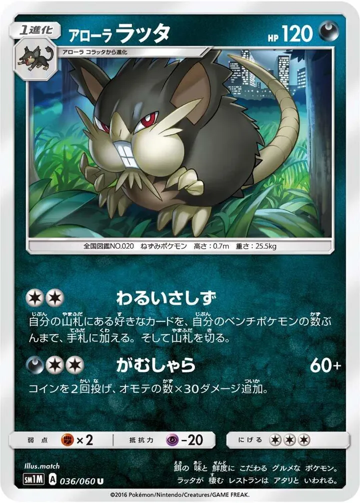 Front of Alolan Raticate 36, コレクション ムーン Japanese