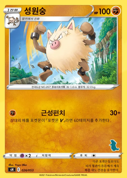 소드&실드 「패밀리 포켓몬 카드 게임」 韓国語版 성원숭 26 カード表面