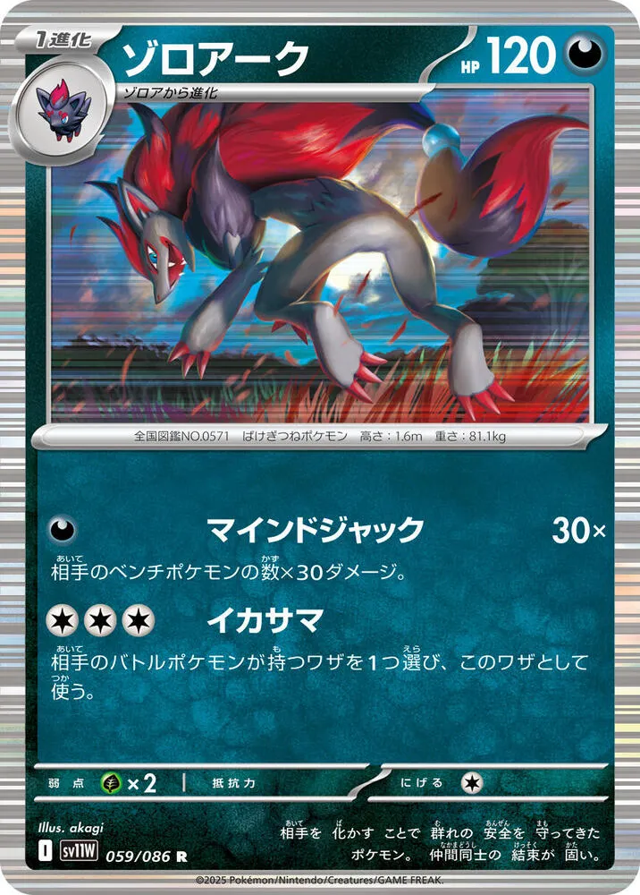 Front of Zoroark 59, ホワイトフレア Japanese