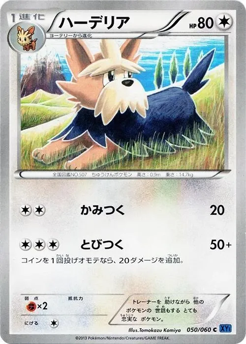 コレクションX 일본판 ハーデリア 50 카드 앞면