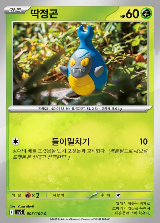 배틀파트너즈 韓国語版 딱정곤 7 カード表面