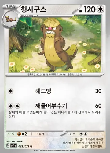 형사구스 63 $0.22