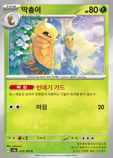 딱충이 14 ₩1,250