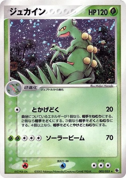 Front of Sceptile 3, 拡張パック ADV1 Japanese