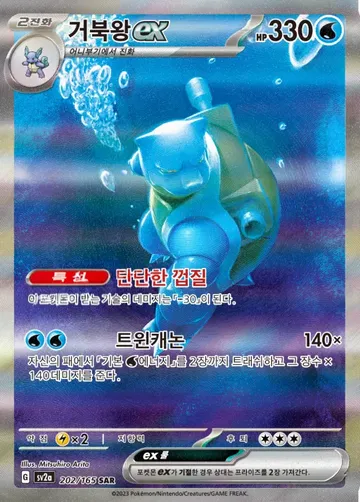 거북왕 ex
