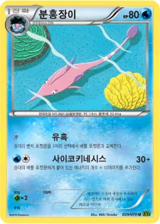 Front of 분홍장이 29, 타이달스톰 Korean
