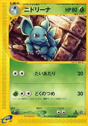 Front of Nidorina 8, 神秘なる山 Japanese