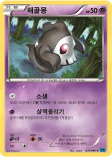 Front of 해골몽 33, 와일드 블레이즈 Korean