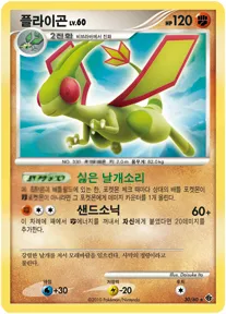 Front of 플라이곤 30, 시공의 격돌 Korean