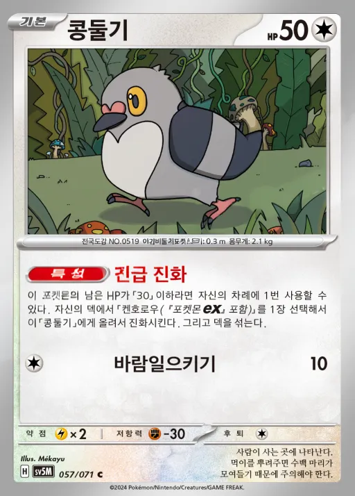 사이버저지 韓国語版 콩둘기 57 カード表面