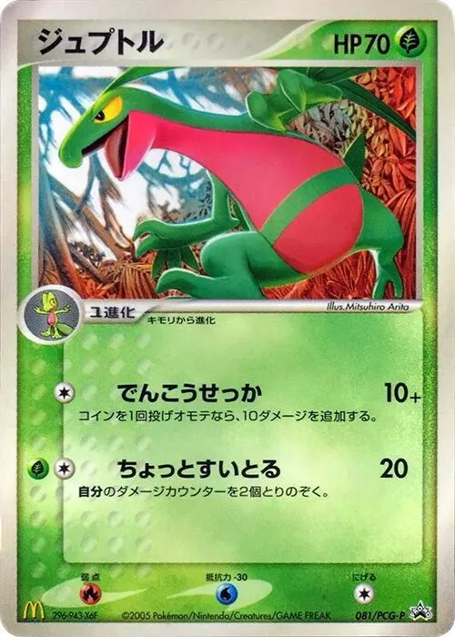 Front of Grovyle 81, PCG-Pプロモーションカード Japanese