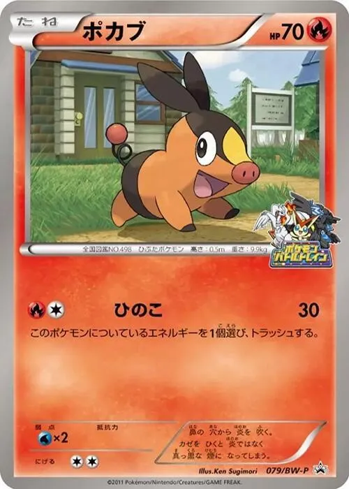 Front of Tepig 79, BW-Pプロモーションカード Japanese