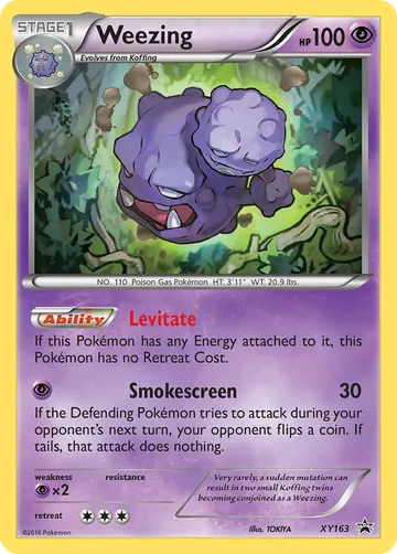 Weezing XY163 ₩3,110