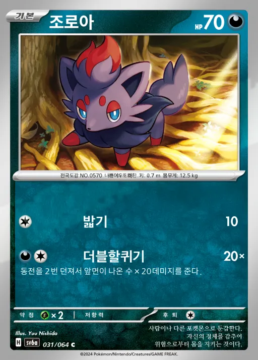 Front of 조로아 31, 나이트원더러 Korean