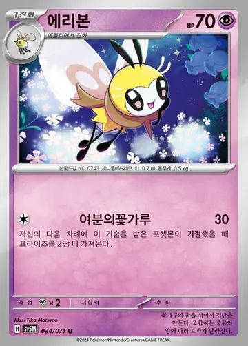 에리본 34 ¥35