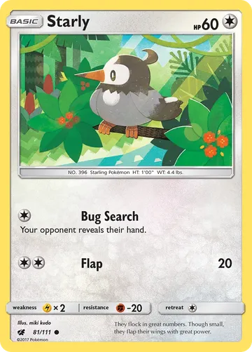 Starly 81 ₩308