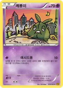천공의 분노 韓国語版 깨봉이 39 カード表面