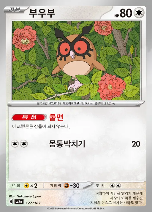 Front of 부우부 127, 테라스탈 페스타 ex Korean