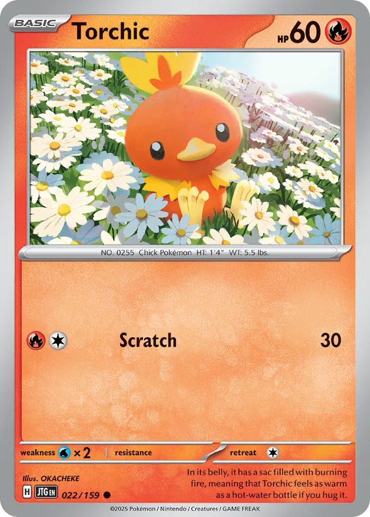 Scarlet & Violet—Journey Together 영어판 Torchic 22 카드 앞면