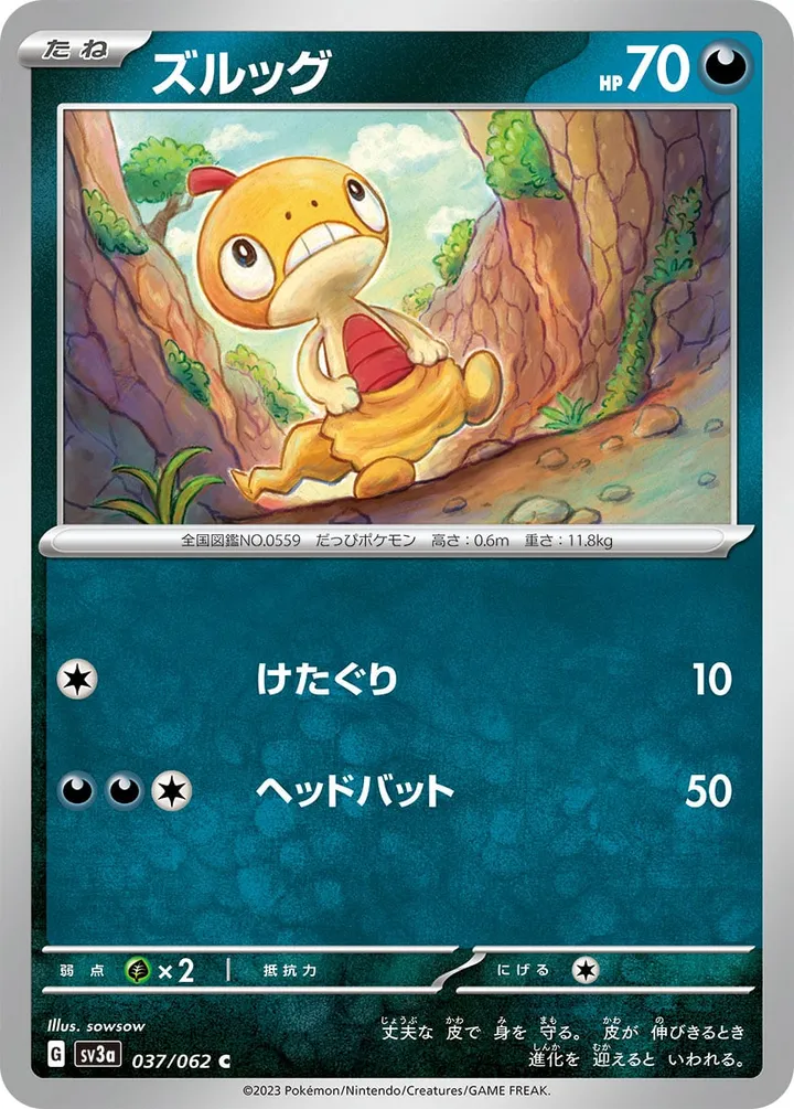 Front of Scraggy 37, レイジングサーフ Japanese