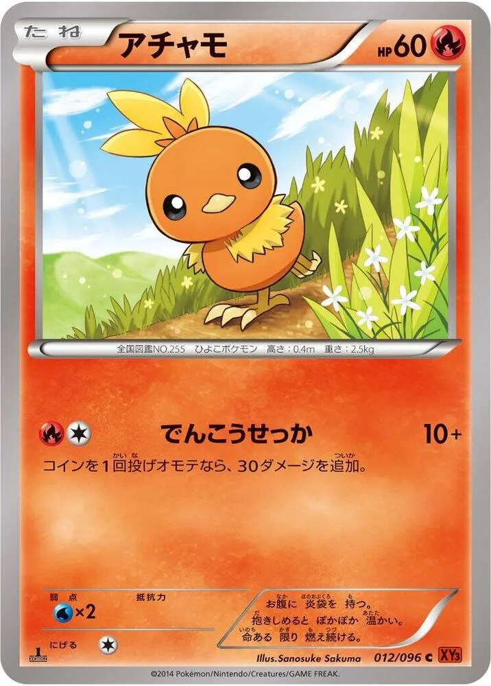 Front of Torchic 12, ライジングフィスト Japanese