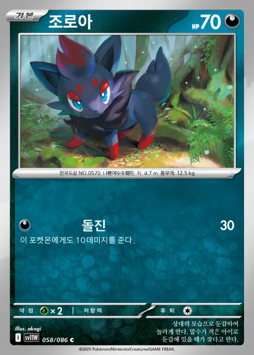 Front of 조로아 58, 화이트플레어 Korean