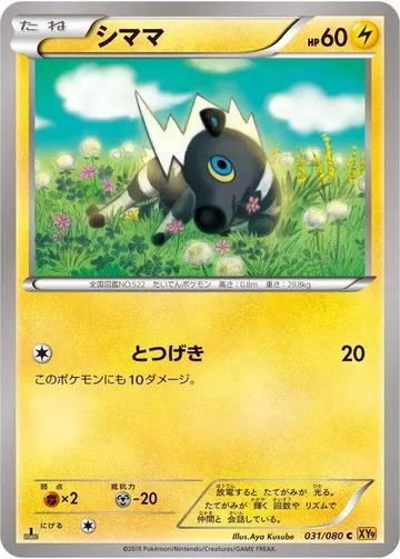 シママ 31 ₩3,914