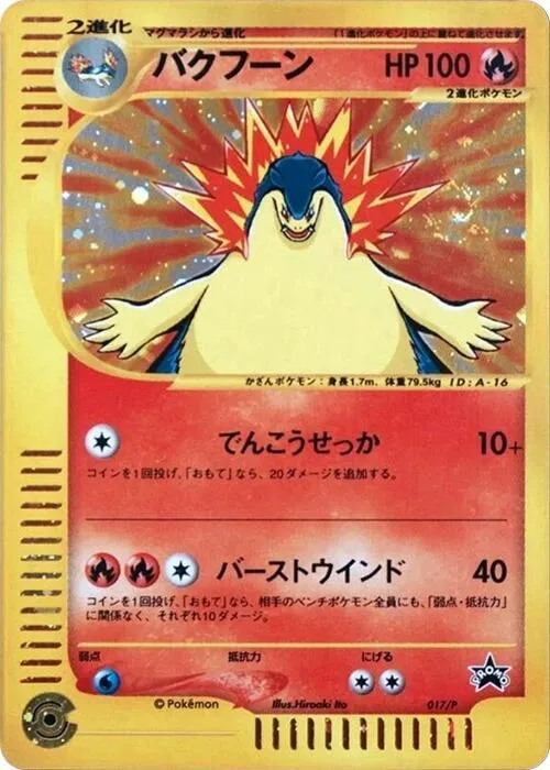 Front of Typhlosion 17, Pプロモーションカード Japanese