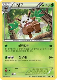 XY 프로모 카드 韓国語版 다탱구 30 カード表面