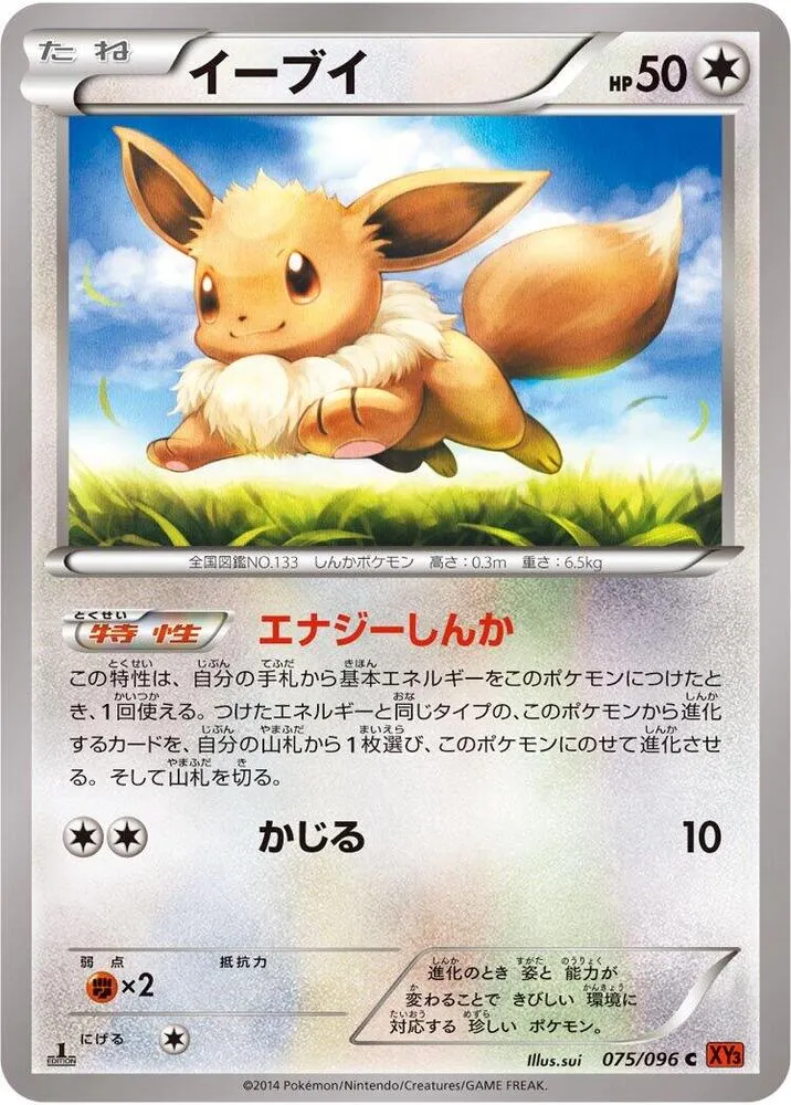 Front of Eevee 75, ライジングフィスト Japanese