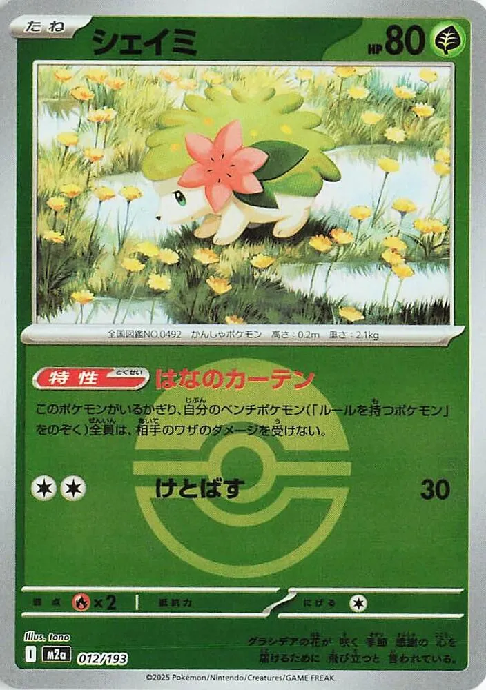 MEGAドリームex 일본판 シェイミ 12 카드 앞면