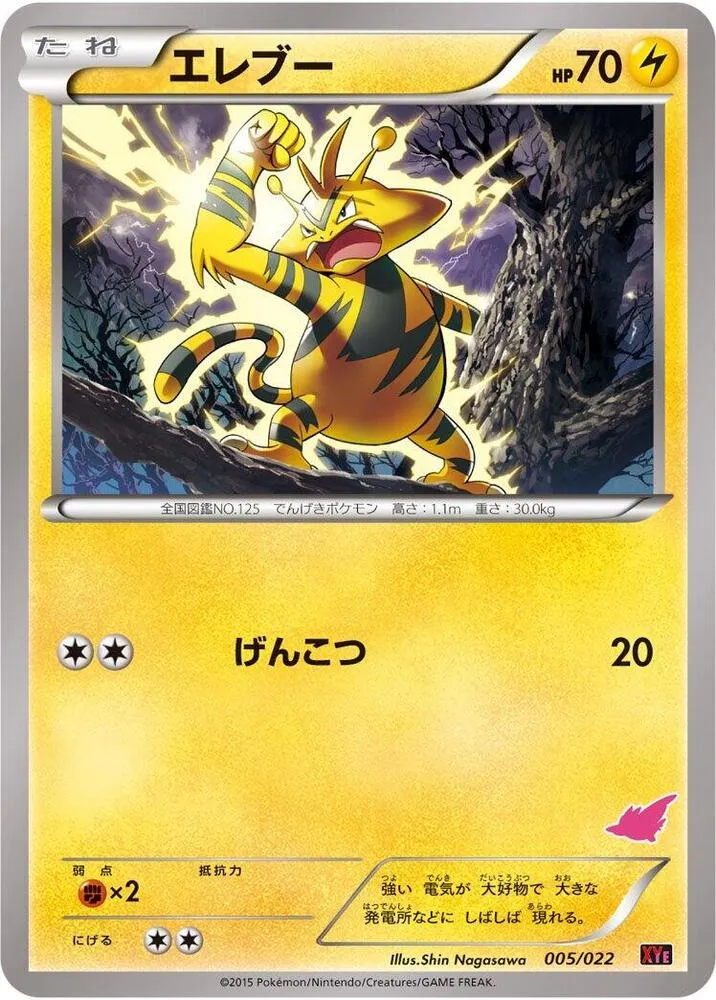 対戦スタートセット30「エンブオーEX VS トゲキッスEX」 일본판 エレブー 5 카드 앞면