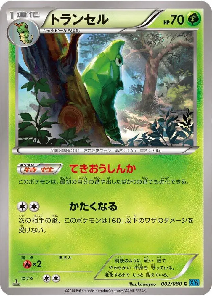 Front of Metapod 2, ワイルドブレイズ Japanese