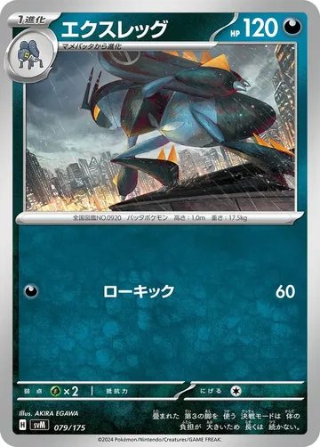 エクスレッグ 79 ¥30