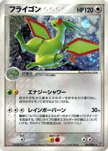 フライゴン 41 ₩46,916
