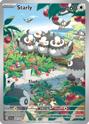 Starly 221 ₩20,027