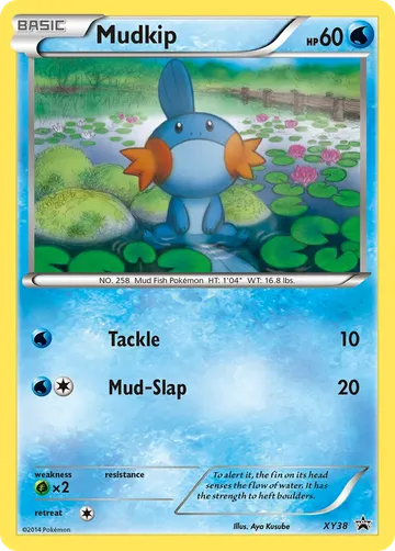 Mudkip XY38 ¥1,845