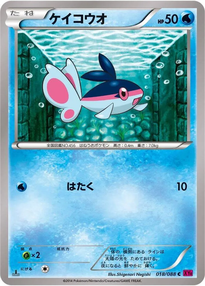 Front of Finneon 18, ファントムゲート Japanese