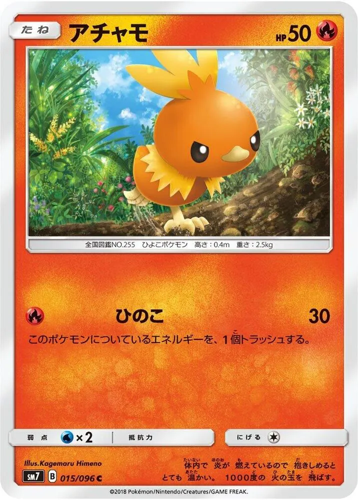 Front of Torchic 15, 裂空のカリスマ Japanese