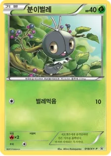 XY 프로모 카드 韓国語版 분이벌레 18 カード表面