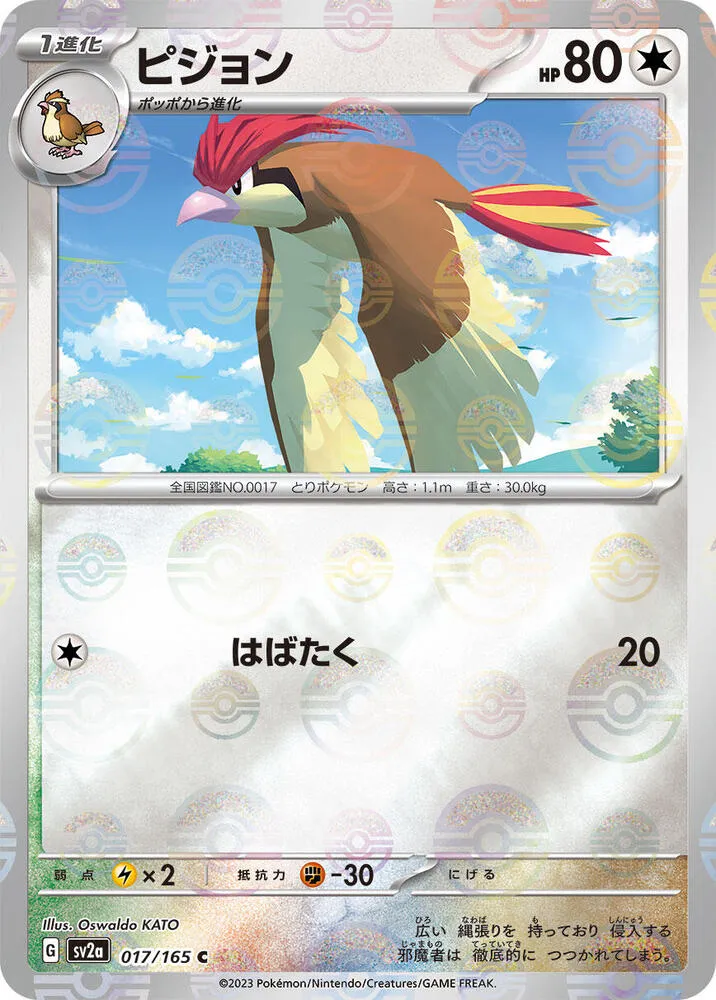 ポケモンカード151 일본판 ピジョン 17 카드 앞면