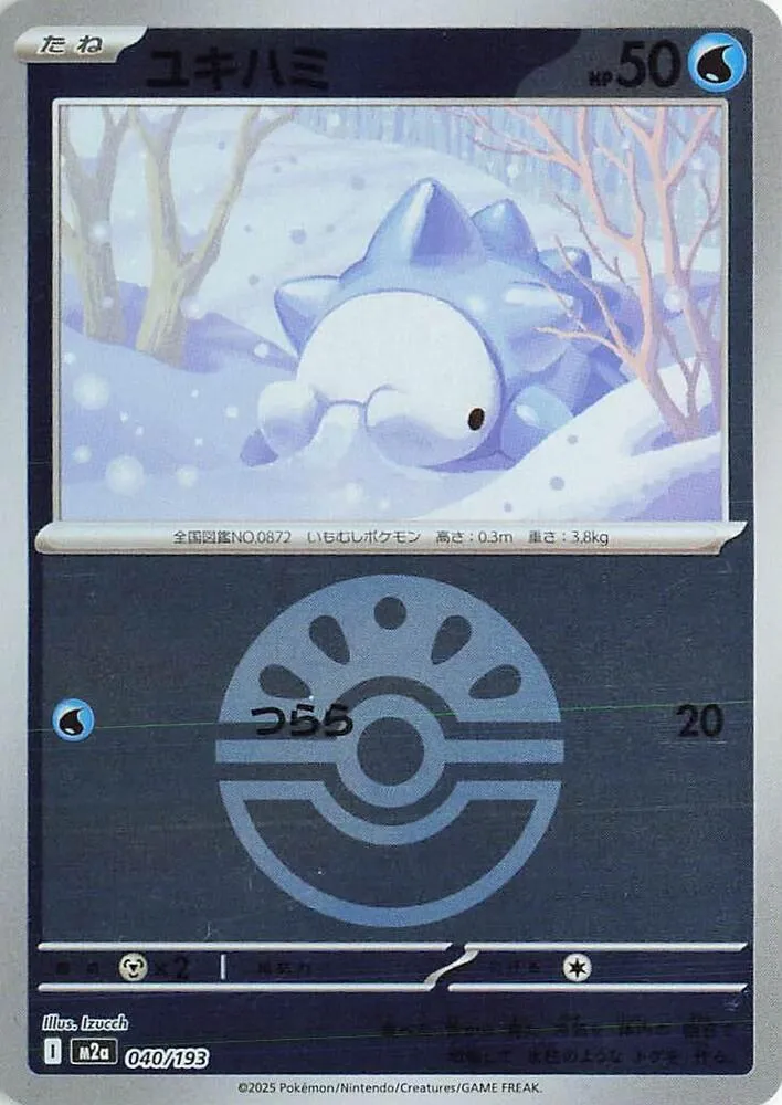 Front of Snom (Friend Ball Pattern) 40, MEGAドリームex Japanese