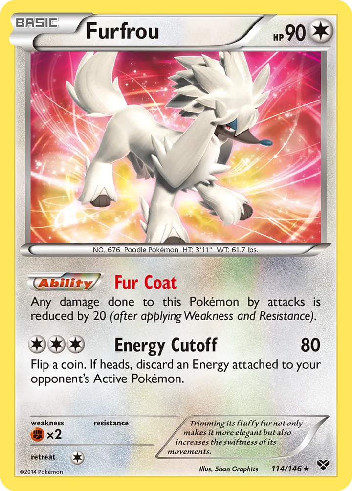 XY 영어판 Furfrou 114 카드 앞면