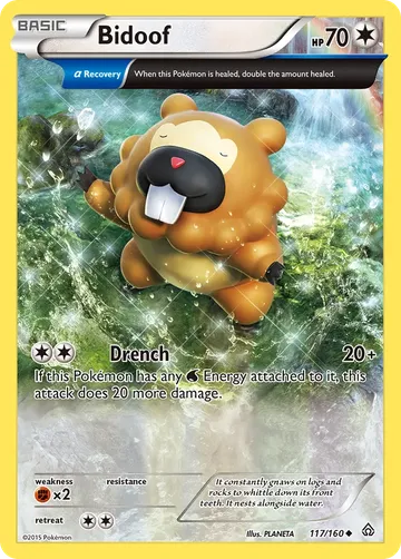 Bidoof 117 ₩2,547