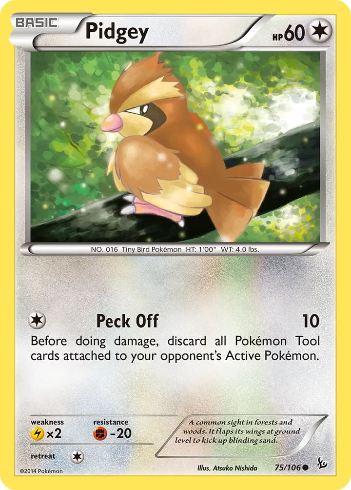 XY—Flashfire 영어판 Pidgey 75 카드 앞면