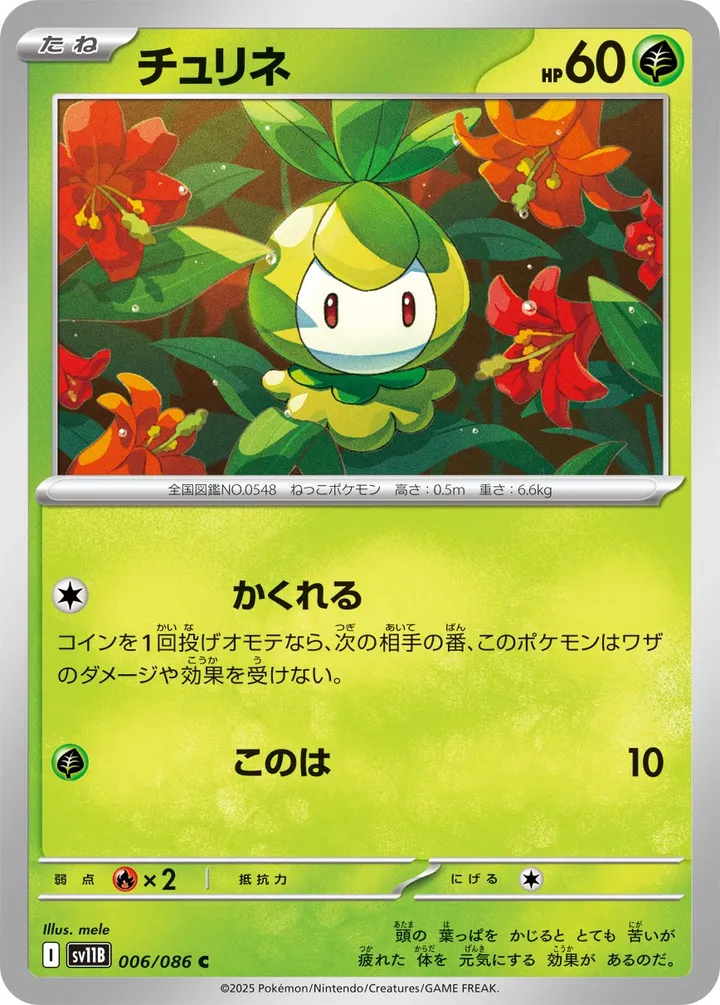 Front of Petilil 6, ブラックボルト Japanese