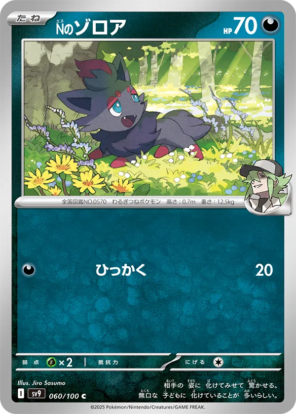 Front of N's Zorua 60, バトルパートナーズ Japanese